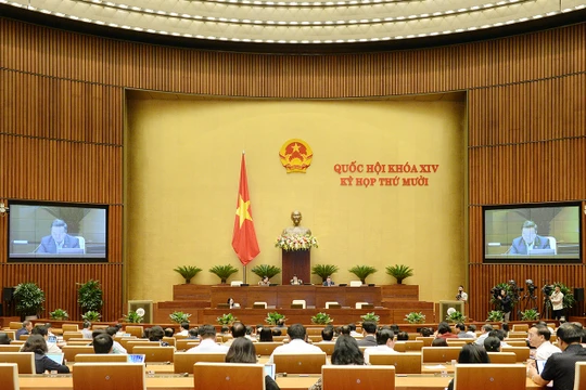 Kỳ họp thứ 10, Quốc hội khóa XIV 