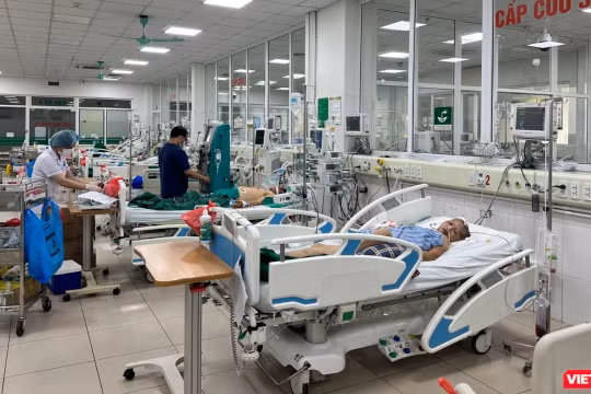 Người đàn ông nhập viện với triệu chứng nghiêm trọng chỉ vì bị mèo cào