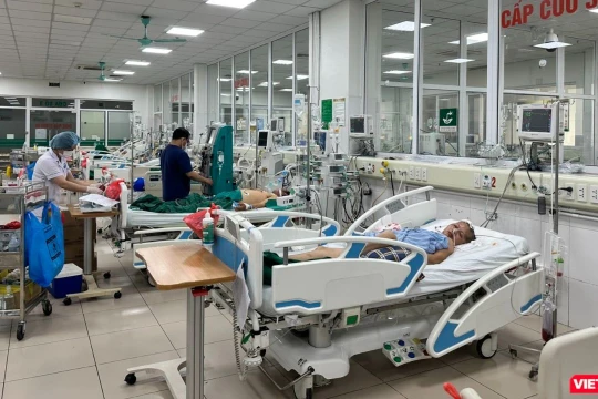 Người đàn ông nhập viện với triệu chứng nghiêm trọng chỉ vì bị mèo cào