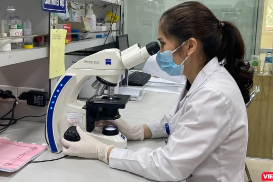 Xuất hiện bệnh nhân sốt rét kháng thuốc và muỗi truyền bệnh sốt rét kháng hóa chất 