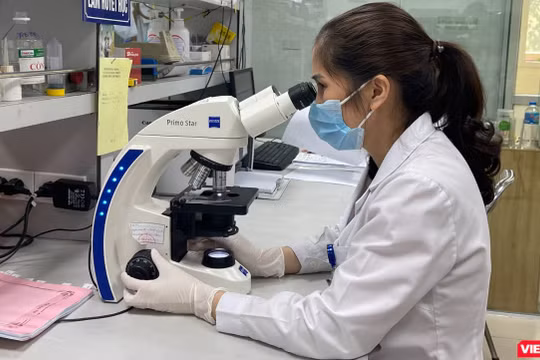 Xuất hiện bệnh nhân sốt rét kháng thuốc và muỗi truyền bệnh sốt rét kháng hóa chất 