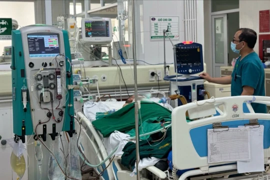 Mua thủ lợn về đãi khách, chủ nhà nguy kịch vì vi khuẩn cực nguy hiểm