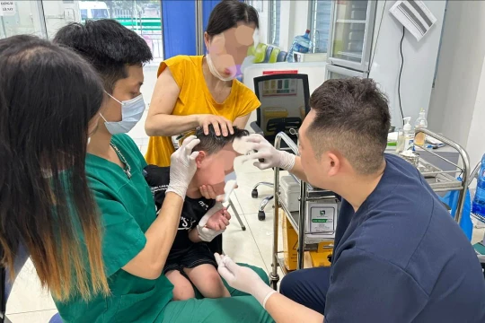 Cảnh báo: Số người tử vong do chó dại cắn gia tăng