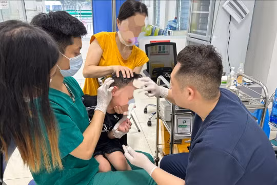 Cảnh báo: Số người tử vong do chó dại cắn gia tăng