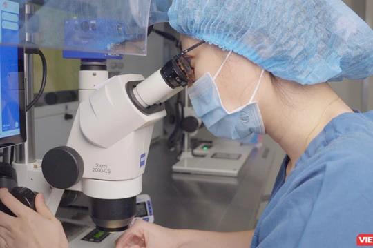 Chuyên viên phôi học đang quan sát phôi khi đưa vào môi trường trữ phôi Cryotec RtU.png