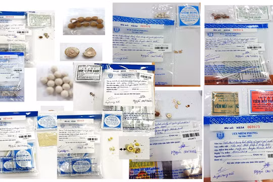 Cuộc chiến chống thuốc giả – hiểm họa thật: Bộ Y tế sẽ làm gì?