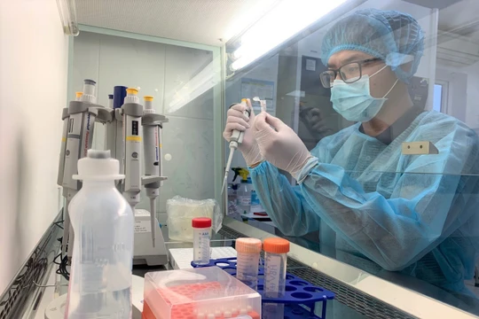 Xét nghiệm SARS-CoV-2 tại Trường Đại học Y Hà Nội