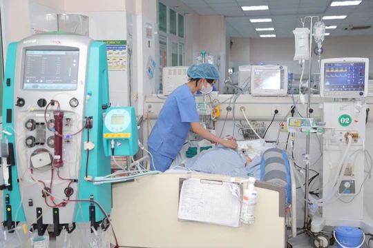 Bệnh viện đầu tiên của Hà Nội đào tạo kiến thức sâu về chẩn đoán chết não cho y, bác sĩ