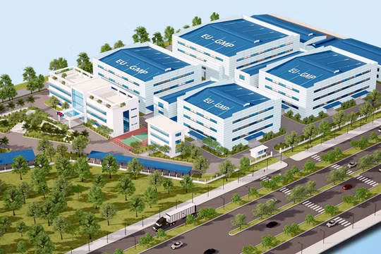 Công ty Cổ phần Dược Vật tư y tế Hải Dương bị Thanh tra Bộ Y tế xử phạt 25 triệu đồng