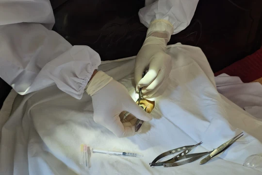 Người hiến giác mạc thứ năm trong một gia đình nhân ái