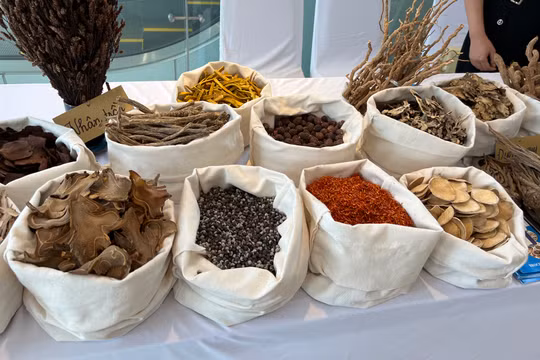 Nhiều dược liệu của Việt Nam đã trở thành những loại thuốc quý trong điều trị bệnh. 