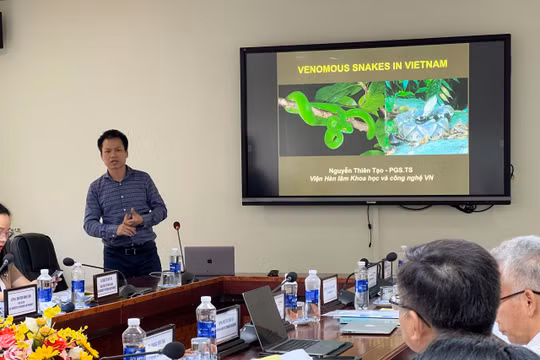Triển khai dự án “Phản ứng nhanh hỗ trợ giảm thiểu rủi ro do tai nạn rắn độc cắn ở Việt Nam và khu vực” do một nhóm nhà khoa học thực hiện 