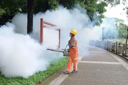 Việt Nam khẩn cấp ứng phó nguy cơ dịch Chikungunya xâm nhập