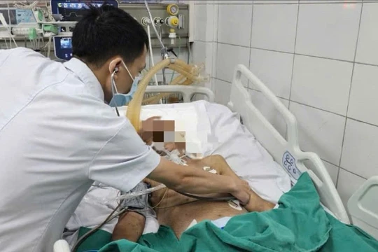 Nhiễm giun lươn, người đàn ông ở Hà Nội nguy kịch
