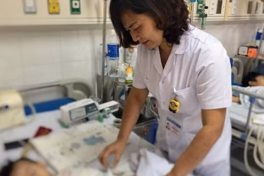 Báo động bệnh ấu trùng giun đũa chó, mèo do thói quen ôm ấp thú cưng