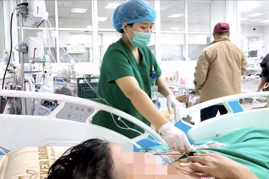Người đàn ông 39 tuổi nguy kịch vì nhiễm "vi khuẩn ăn thịt người” B.pseudomallei
