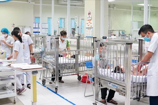 Phụ huynh nấu nhầm cháo hoa thuỷ tiên, 2 cháu bé phải nhập viện cấp cứu