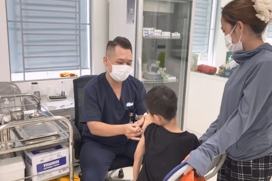 Trẻ bị chó cắn tăng dịp hè: Cảnh báo nguy cơ từ vật nuôi trong nhà 