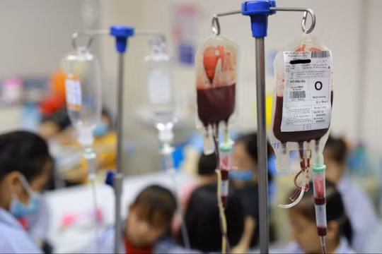 Khoảng 14 triệu người Việt Nam mang gen bệnh tan máu bẩm sinh