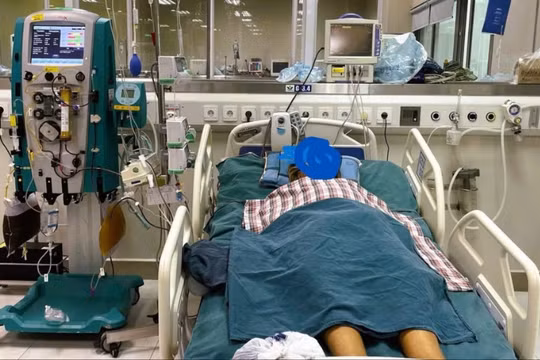 Cứu sống cháu bé bị suy đa tạng do sốt rét ác tính