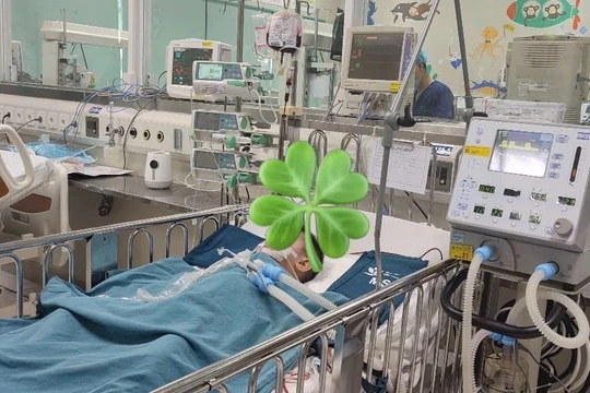 Vụ tố chậm cấp cứu bé trai bị tai nạn: Bệnh nhân chấn thương nặng do rách cơ hoành, dập thận và ruột