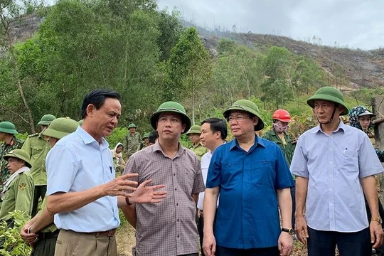 Ngày 1/7, Phó Thủ tướng Vương Đình Huệ tiếp tục thị sát việc chữa cháy rừng tại huyện Đức Thọ (ảnh: Thành Chung)