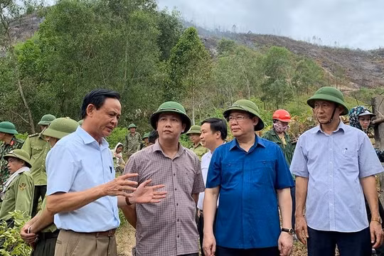 Ngày 1/7, Phó Thủ tướng Vương Đình Huệ tiếp tục thị sát việc chữa cháy rừng tại huyện Đức Thọ (ảnh: Thành Chung)