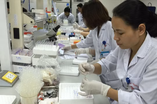 Nếu không có các văn bản thay thế Nghị định 07 và Nghị quyết 30 của Chính phủ, các cơ sở y tế có thể tiếp tục thiếu thuốc, vật tư phục vụ khám, chữa bệnh