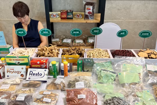 Bộ Y tế: Ưu tiên lựa chọn thuốc y học cổ truyền vào Danh mục thuốc bảo hiểm y tế 