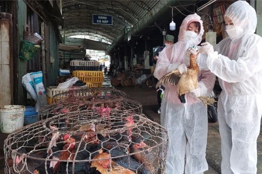 Việt Nam là một trong những "điểm nóng" về dịch bệnh lây truyền từ động vật sang người