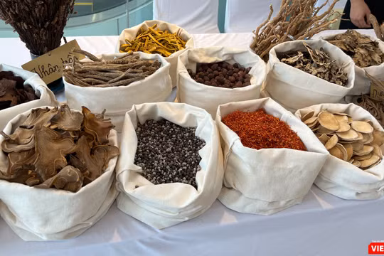 Báo động: Hàng loạt cơ sở dược liệu cổ truyền vi phạm chất lượng