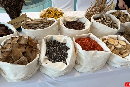 Báo động: Hàng loạt cơ sở dược liệu cổ truyền vi phạm chất lượng