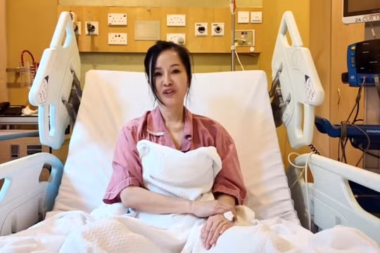 Bộ Y tế nói gì khi diva Hồng Nhung sẵn sàng cống hiến, góp phần phòng tránh bệnh ung thư vú?