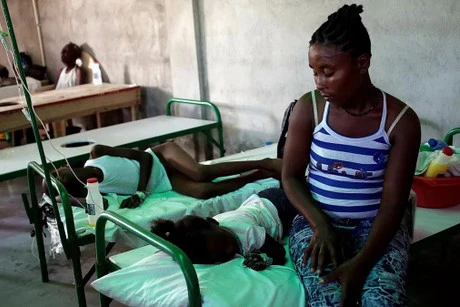 WHO cảnh báo dịch tả toàn cầu, Việt Nam lên kịch bản ứng phó