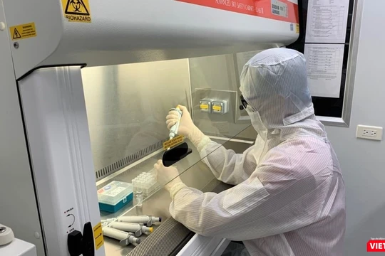 Chương trình đào tạo của Trường Đại học Y Hà Nội được xây dựng hướng đến tầm nhìn châu lục