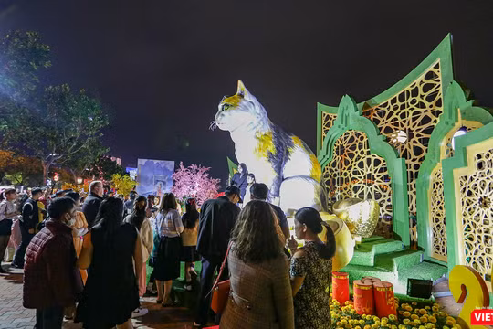 Người dân và du khách du xuân tại đường hoa Xuân Đà Nẵng.