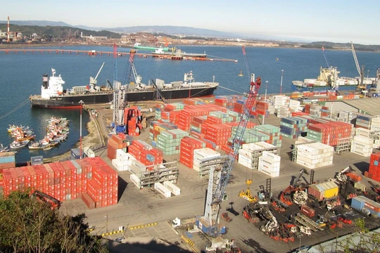 Ảnh minh họa (Nguồn: Internet)