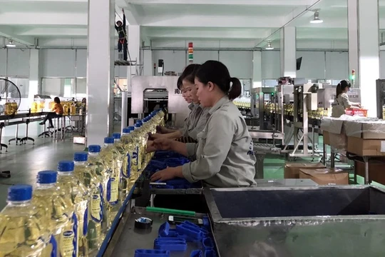 Ảnh minh họa (Nguồn: Calofic)