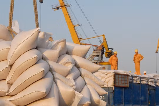 Ngành gạo sẽ hưởng lợi tích cực từ EVFTA