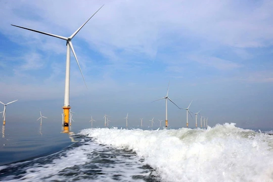 Ảnh minh họa (Nguồn: Internet)