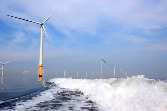 Ảnh minh họa (Nguồn: Internet)