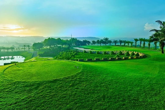 Ảnh minh họa (Nguồn: Internet)