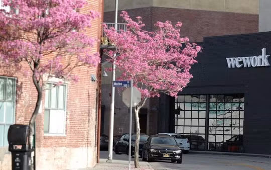 Sau loạt bê bối chấn động, WeWork tuyên bố sẽ có lãi trong năm 2021