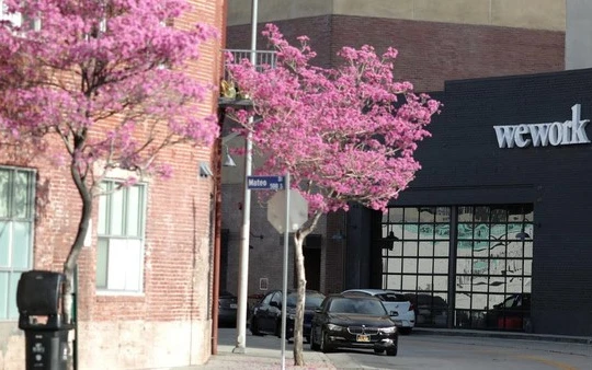 Sau loạt bê bối chấn động, WeWork tuyên bố sẽ có lãi trong năm 2021