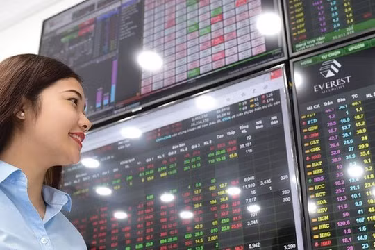 Ảnh minh họa (Nguồn: Internet)