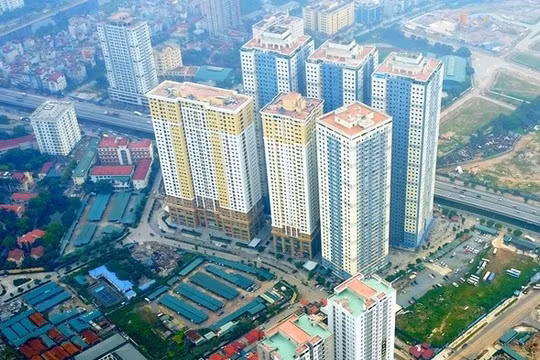 Ảnh minh họa (Nguồn: Internet)