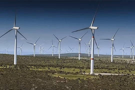 Ảnh minh họa (Nguồn: Internet)