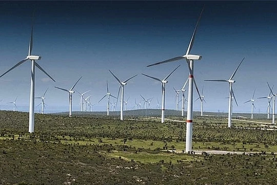 Ảnh minh họa (Nguồn: Internet)