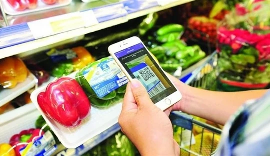 Tháo ‘vòng kim cô’ cho sáng tạo giúp Việt Nam chuyển đổi số