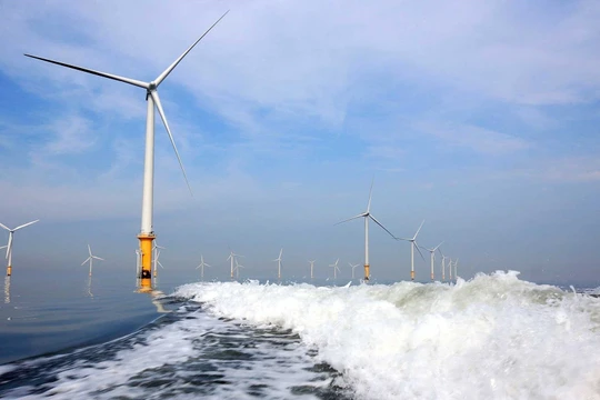 Ảnh minh hoạ (Nguồn: Internet)